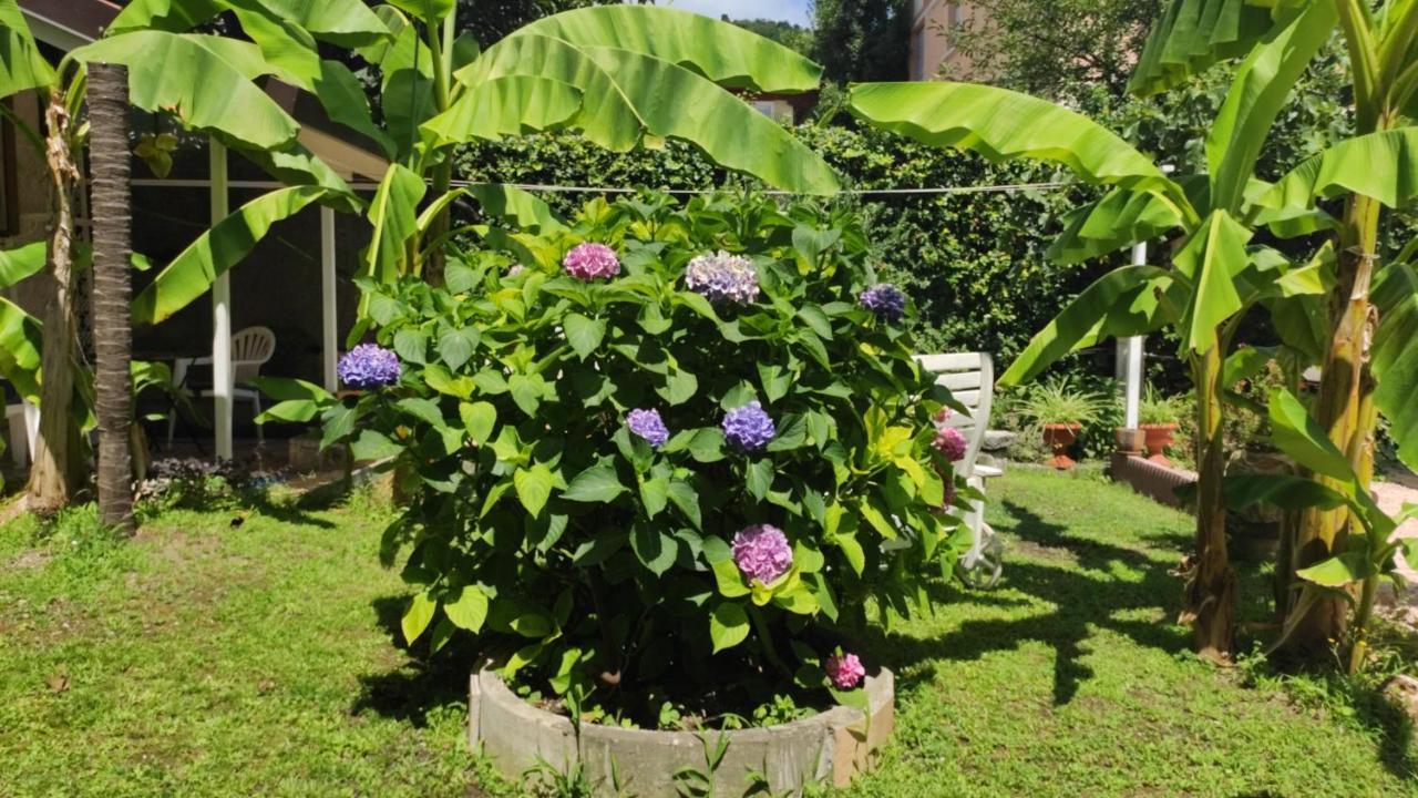 Il Caminetto Di Mario Apartamento *